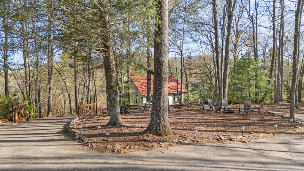 299 Eagles Nest Mountain Road Blue Ridge, GA 30513 - Photo 68 of 74