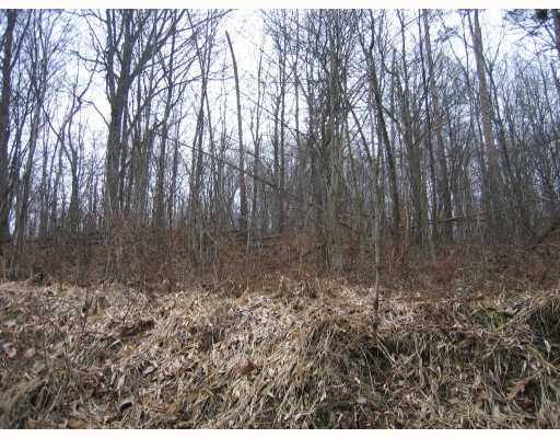 T426 Township Route Creekside, PA 15732 - Photo 1 of 4 View.