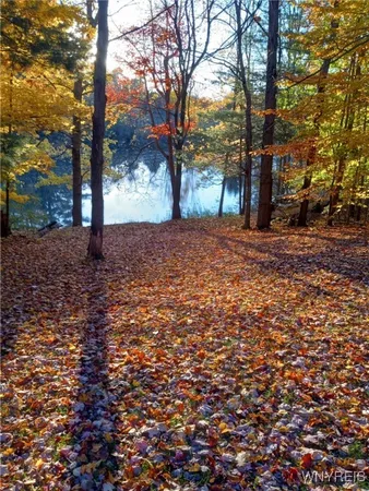 $87,500 | 6 Munson Road, Unit 6, Kennedy, NY 14747