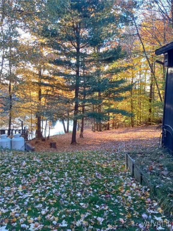 6 Munson Road, Unit 6 Kennedy, NY 14747 - Photo 23 of 23