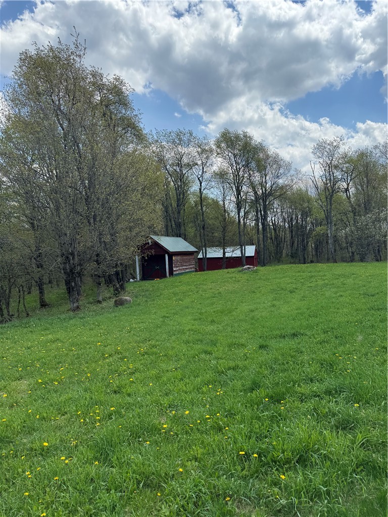 2176 Pitcher Road Lowville, NY 13367 - Photo 4 of 23