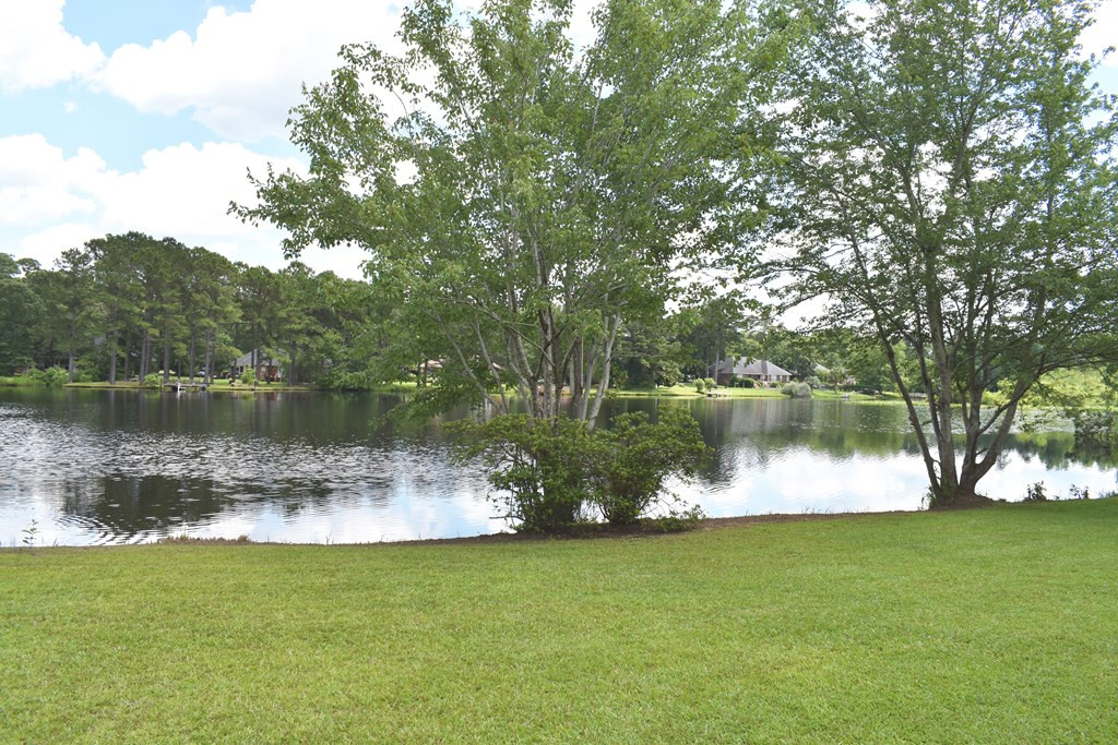 3265 Green View Parkway Sumter, SC 29150 - Photo 9 of 63