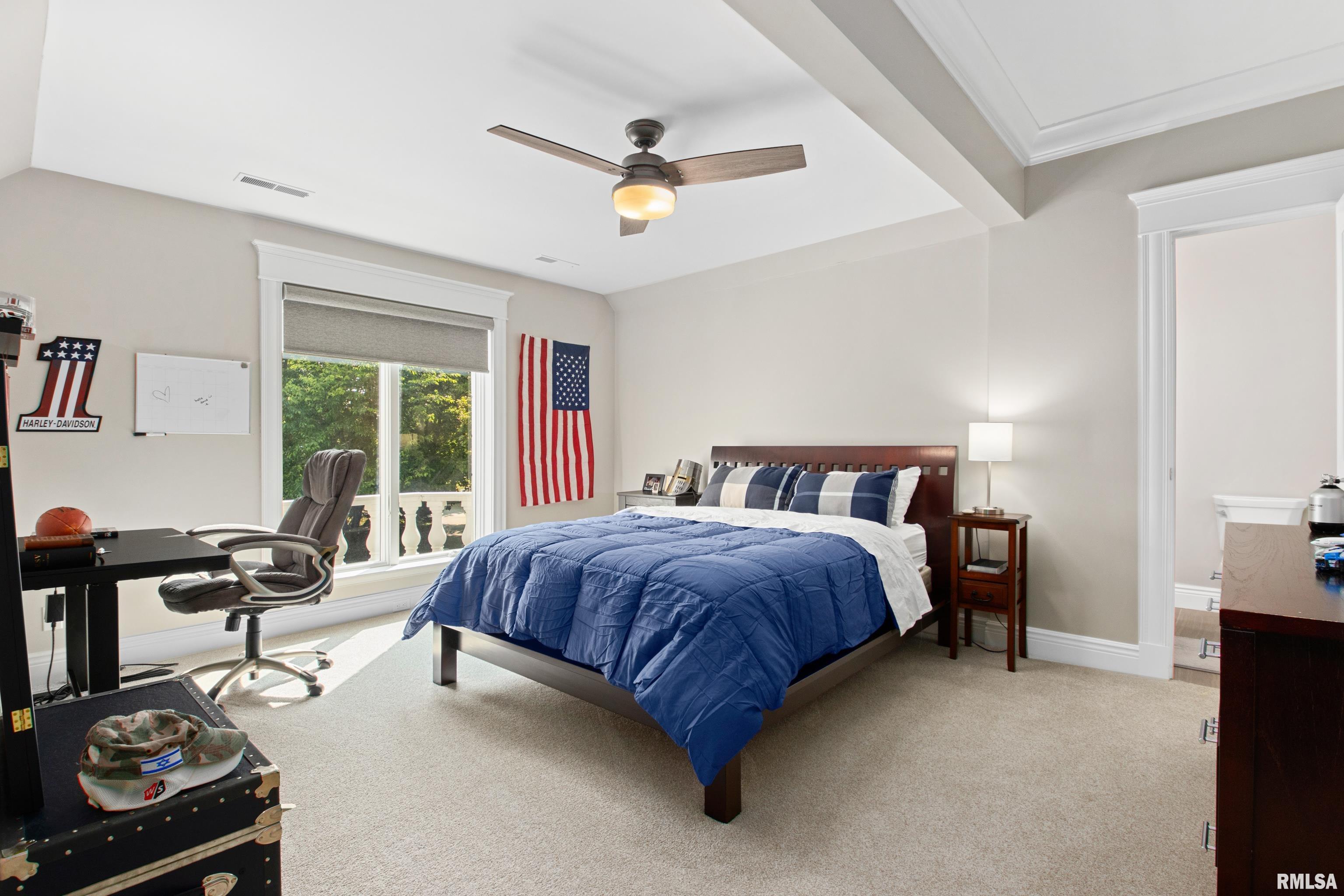 38 Diamond Point Morton, IL 61550 - Photo 62 of 100