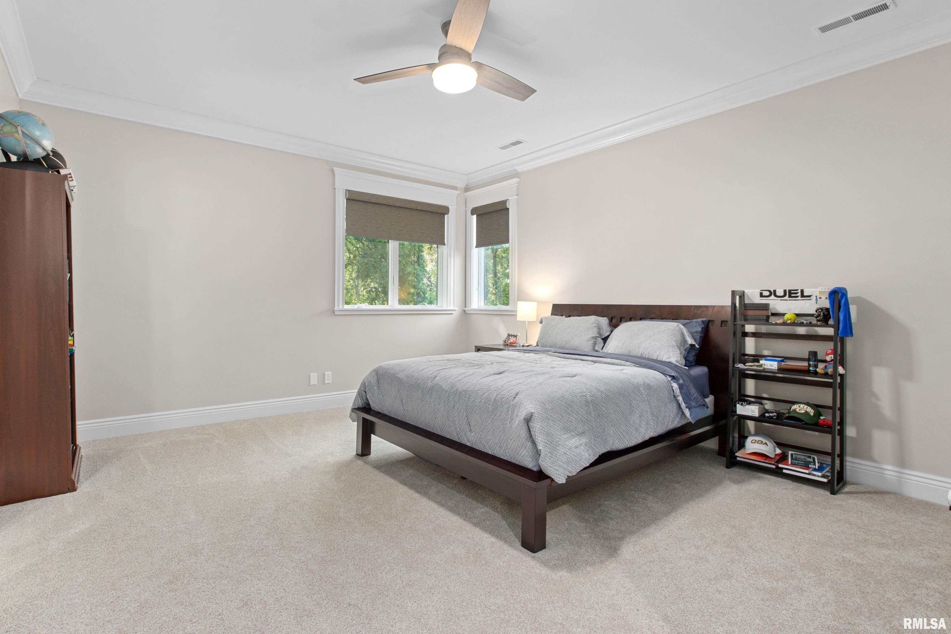 38 Diamond Point Morton, IL 61550 - Photo 66 of 100