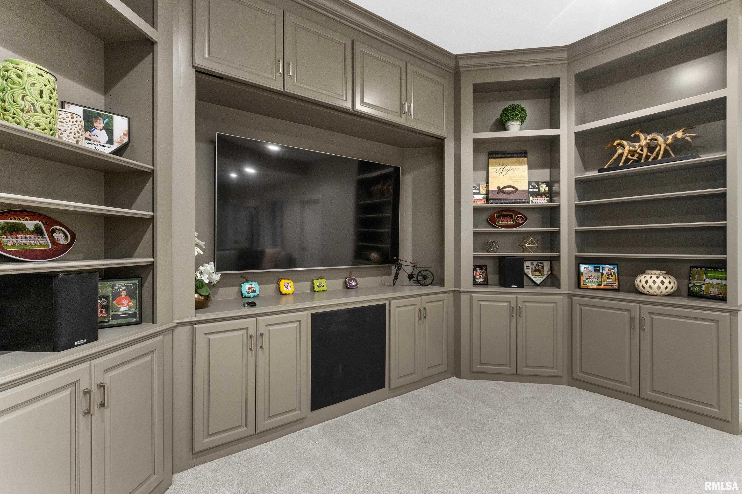 38 Diamond Point Morton, IL 61550 - Photo 75 of 100