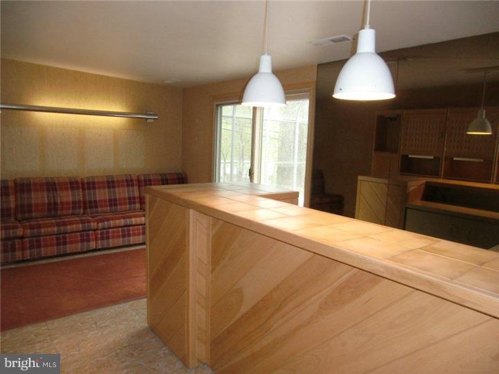 761 Old State Road Berwyn, PA 19312 - Photo 17 of 24 Wet Bar