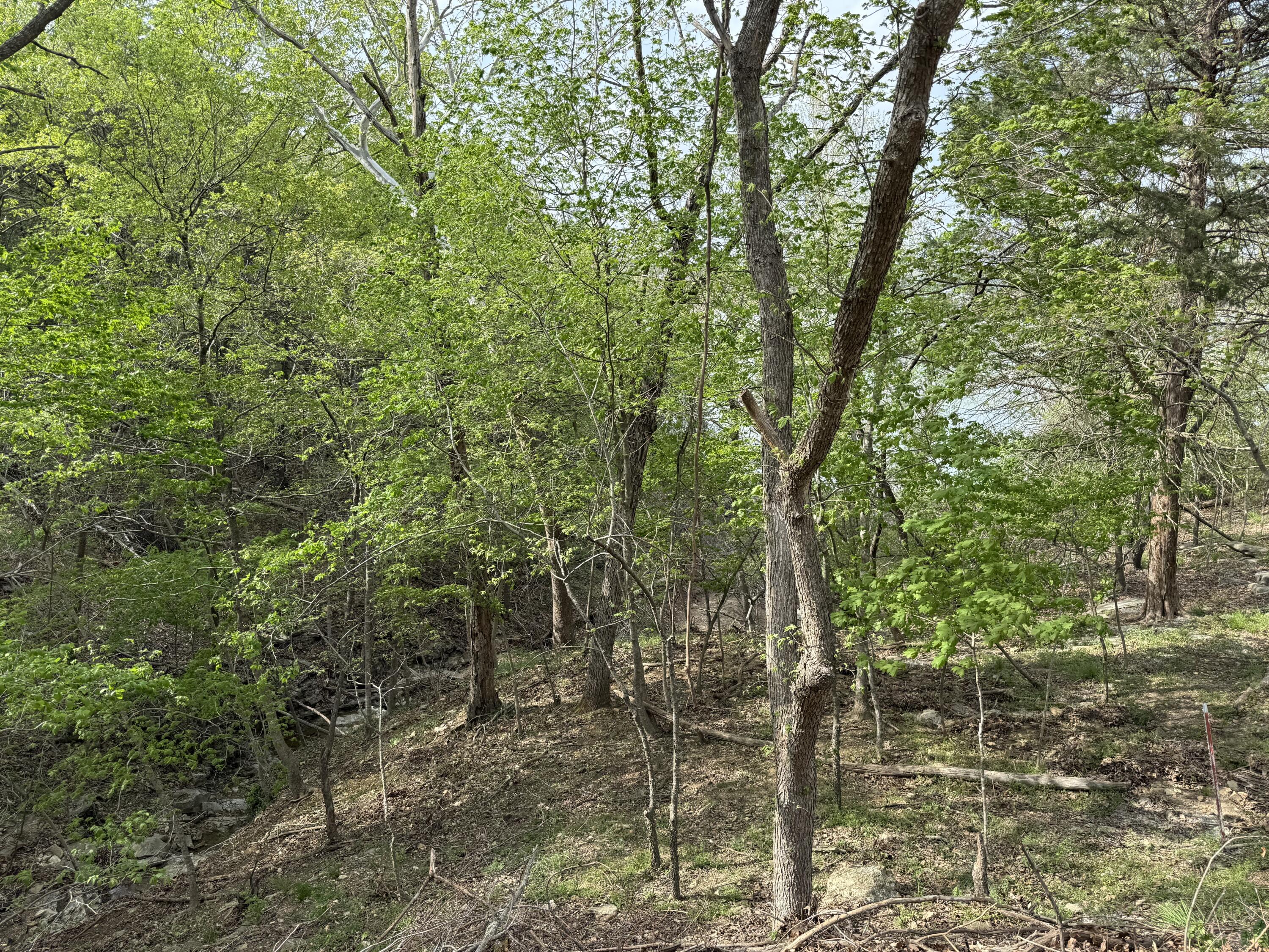0 Rocky Top Road Shell Knob, MO 65747 - Photo 1 of 1 Water