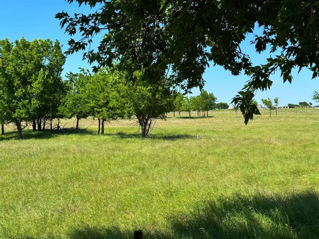 4444 Belz Road Sanger, TX 76266 - Photo 1 of 13 a view of yard with trees