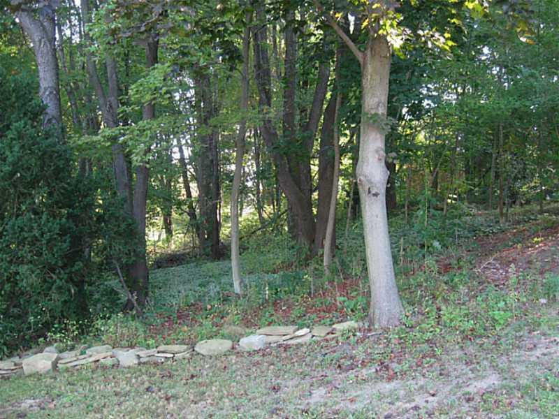 267 Foster Road New Brighton, PA 15066 - Photo 22 of 24 Yard/Garden.