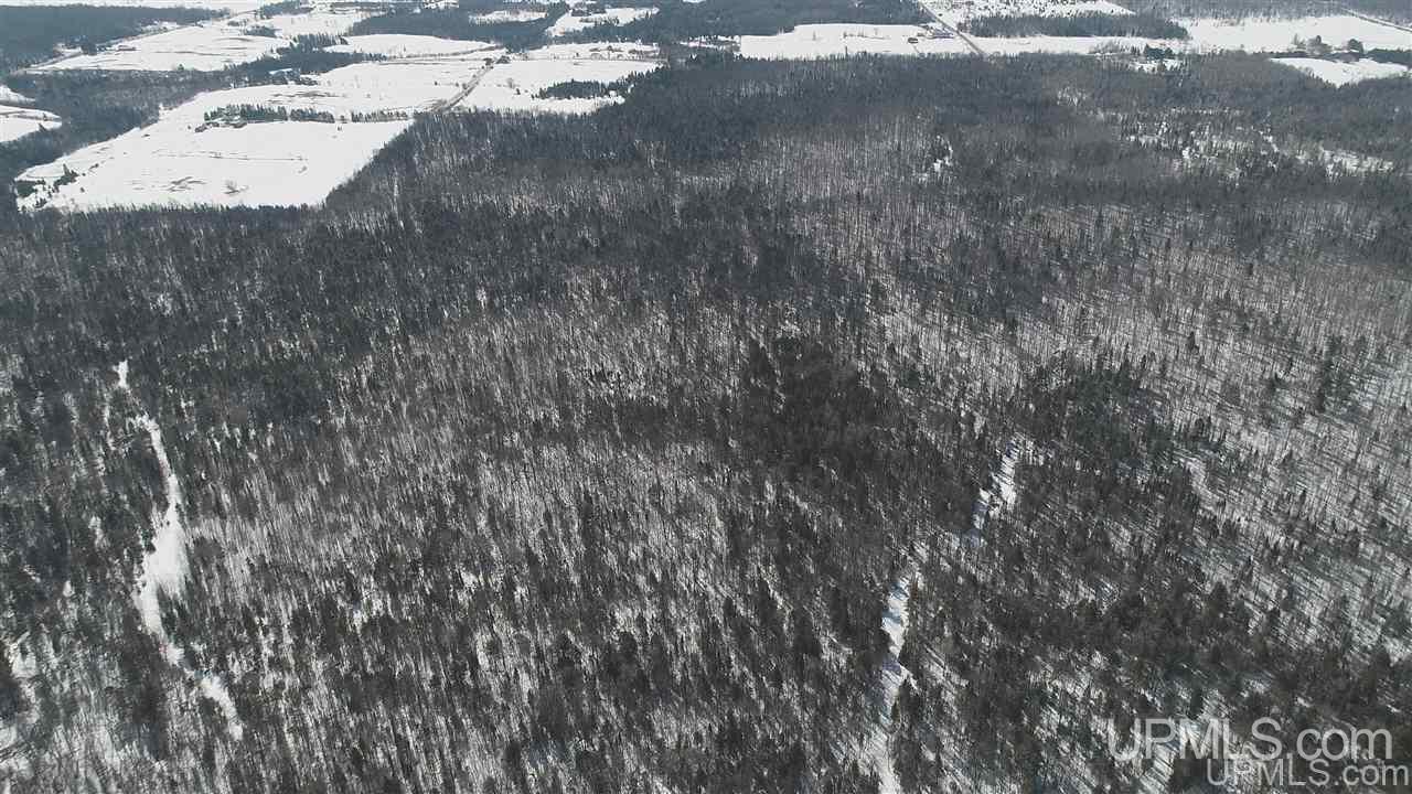 240-acres Leek Road Covington, MI 49919 - Photo 42 of 50