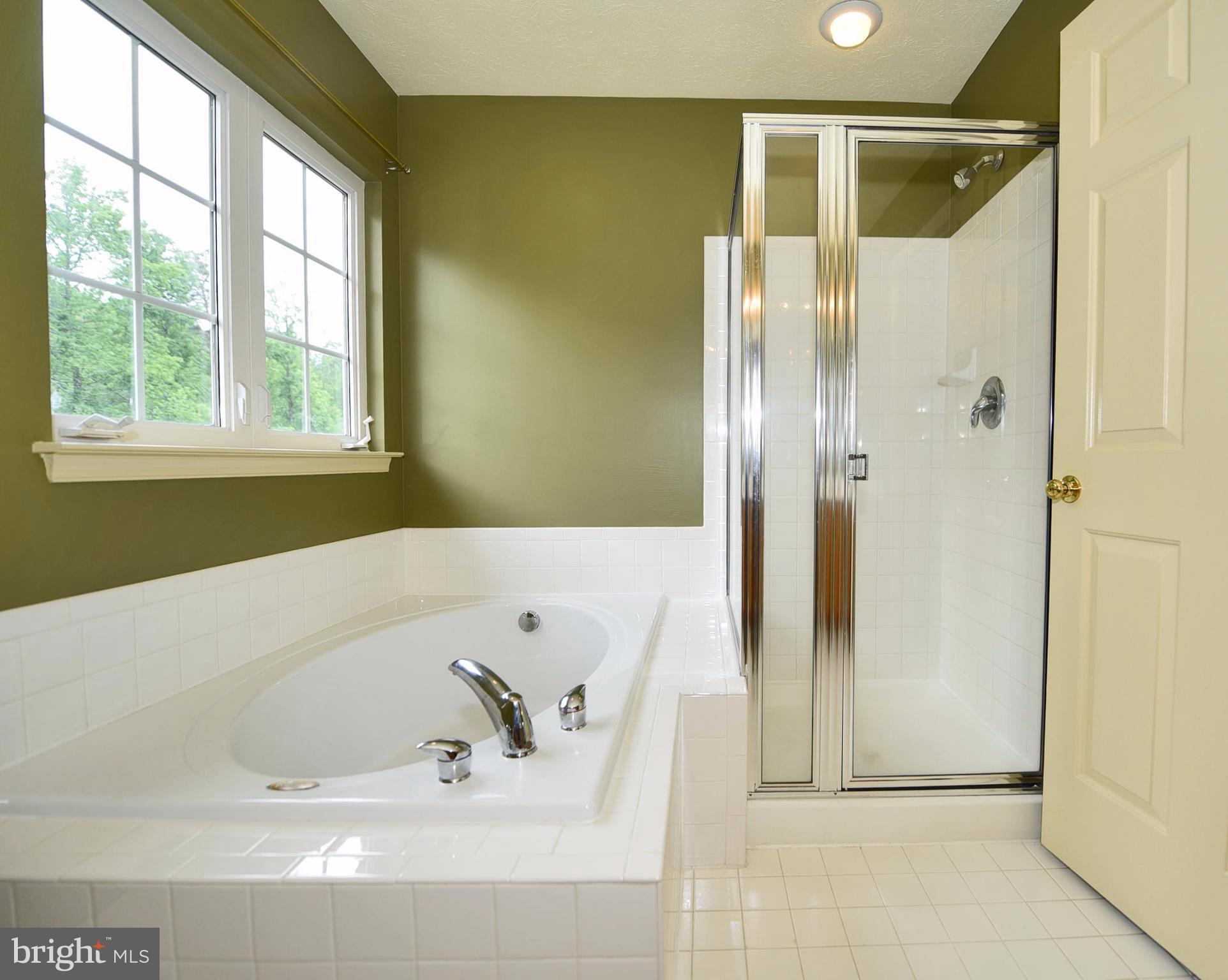 7735 Rotherham Drive Hanover, MD 21076 - Photo 14 of 30 Bath (Master)