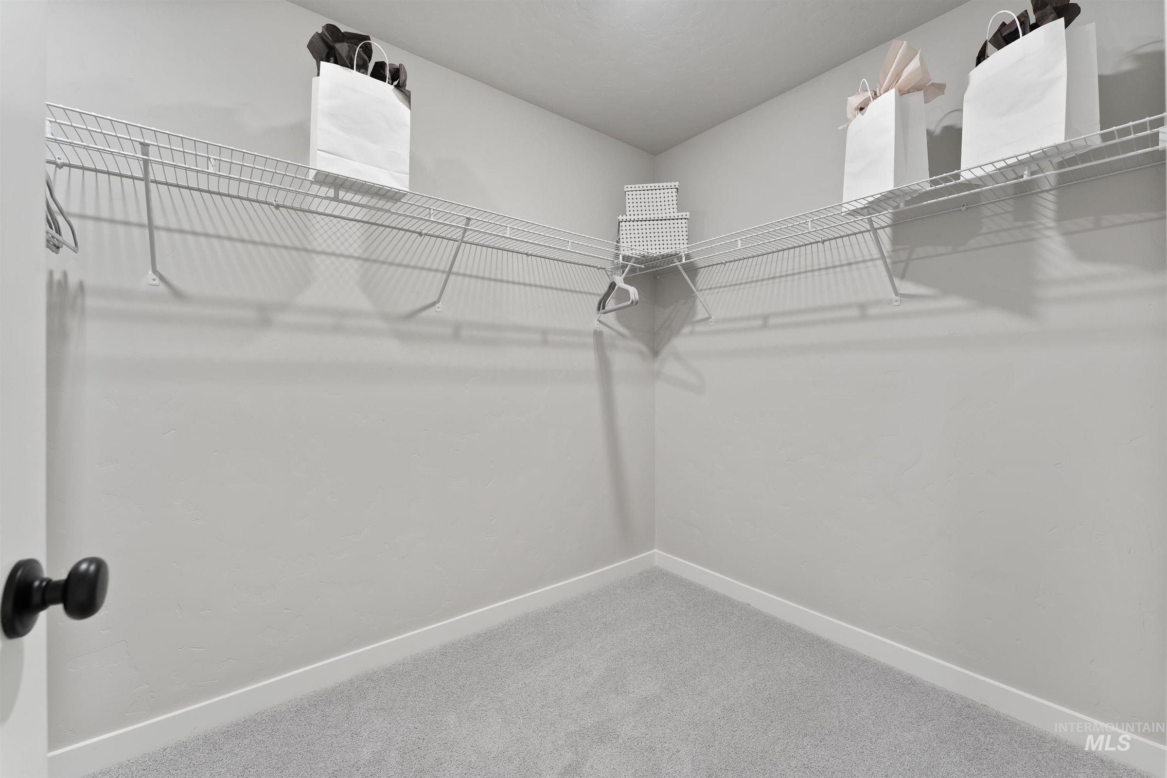 4141 South Colditz Way Meridian, ID 83642 - Photo 19 of 40 Walk in closet featuring light colored carpet