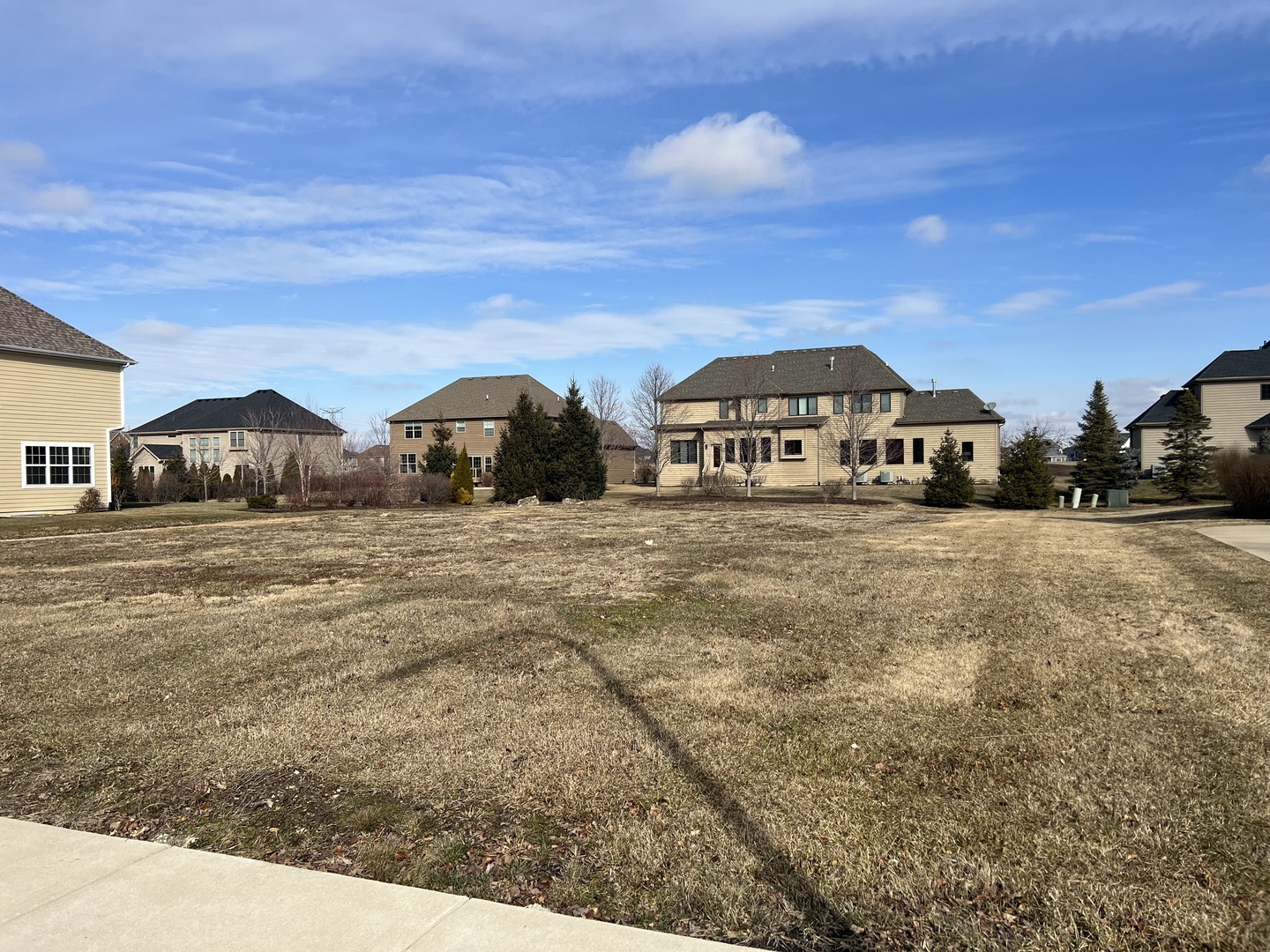 4616 Corktree Road Naperville, IL 60564 - Photo 2 of 2 a front view of a house with large trees