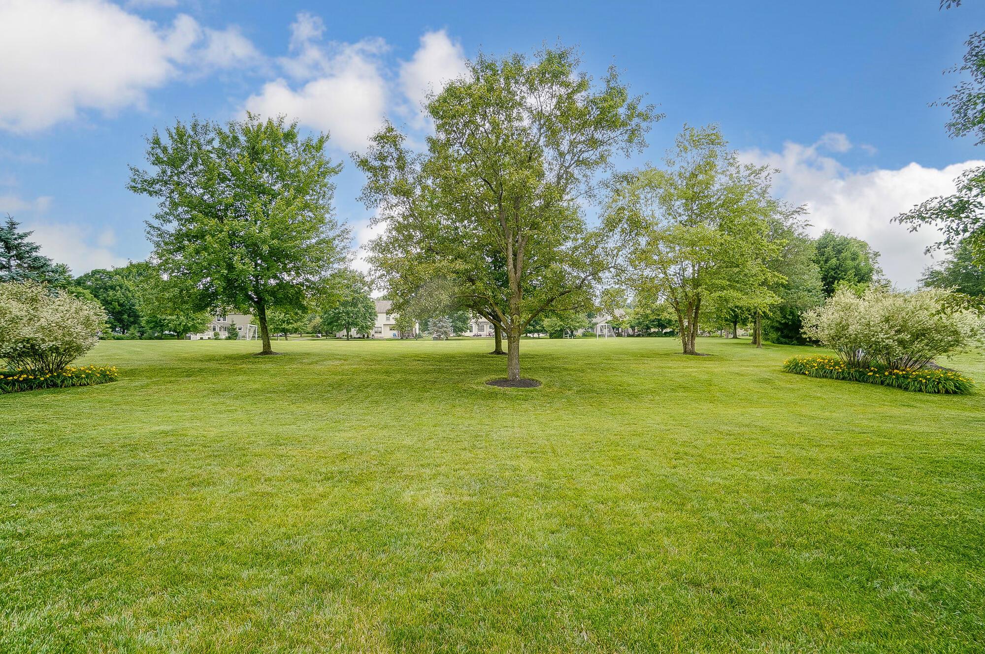 5674 Steward Road Galena, OH 43021 - Photo 68 of 82 Backyard feels like it's own park that actually backs to the park fields.