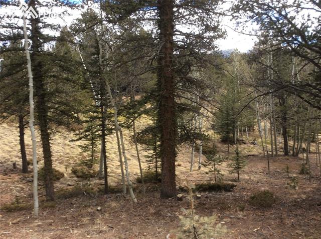 26 Mica Road Divide, CO 80814 - Photo 4 of 14
