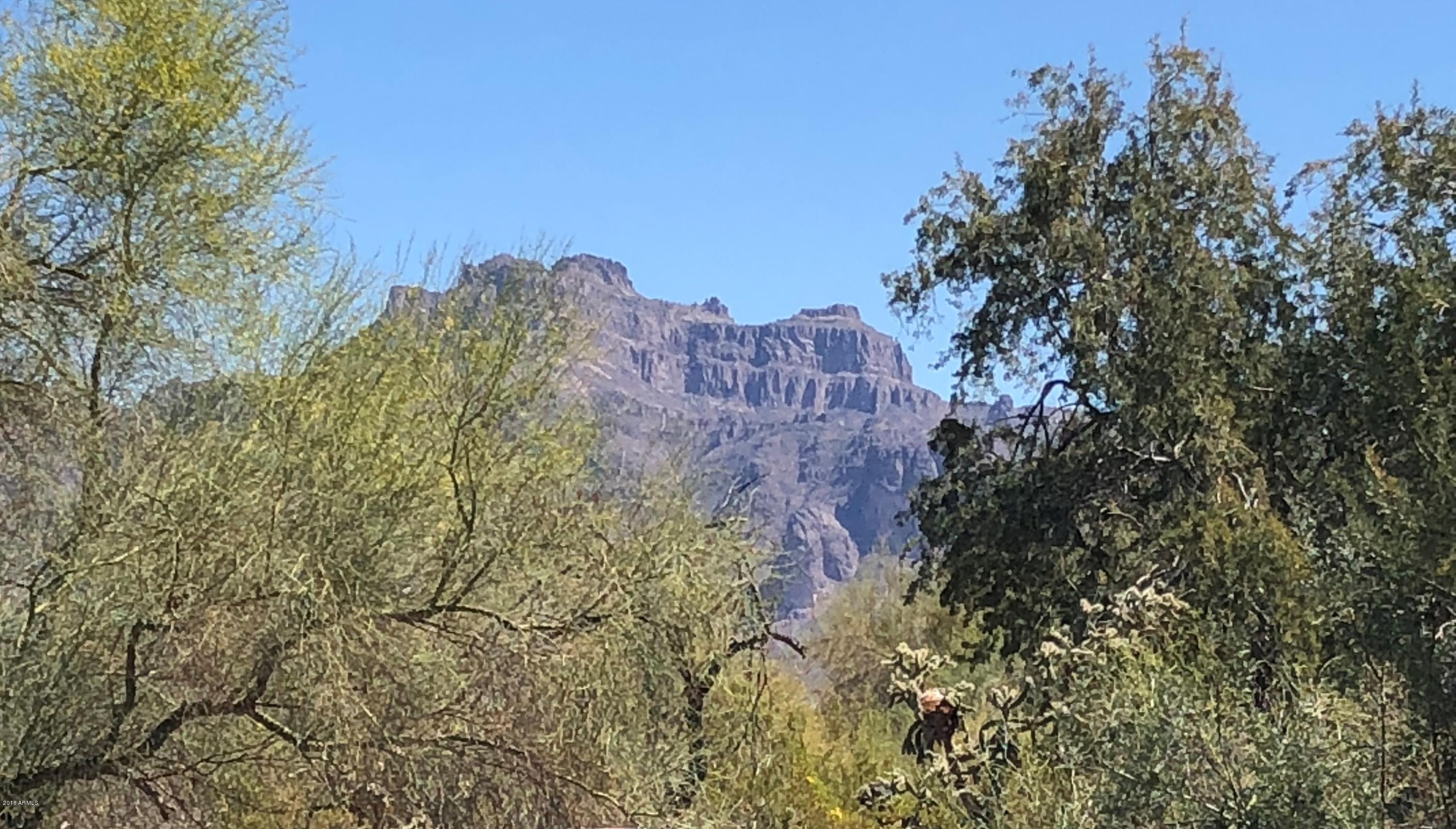 121 South Tomahawk Road Apache Junction, AZ 85119 - Photo 3 of 3 Photo Mar 28, 11 18 17 AM