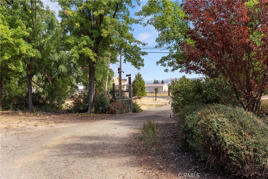 2145 Big Valley Road Lakeport, CA 95453 - Photo 30 of 45 a view of a yard with plants and trees