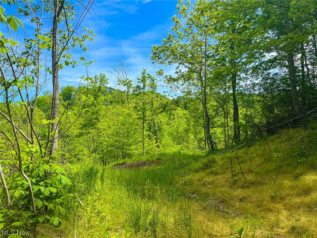 406 East Branch Road Lowell, OH 45744 - Photo 6 of 13 Gallery Image 6