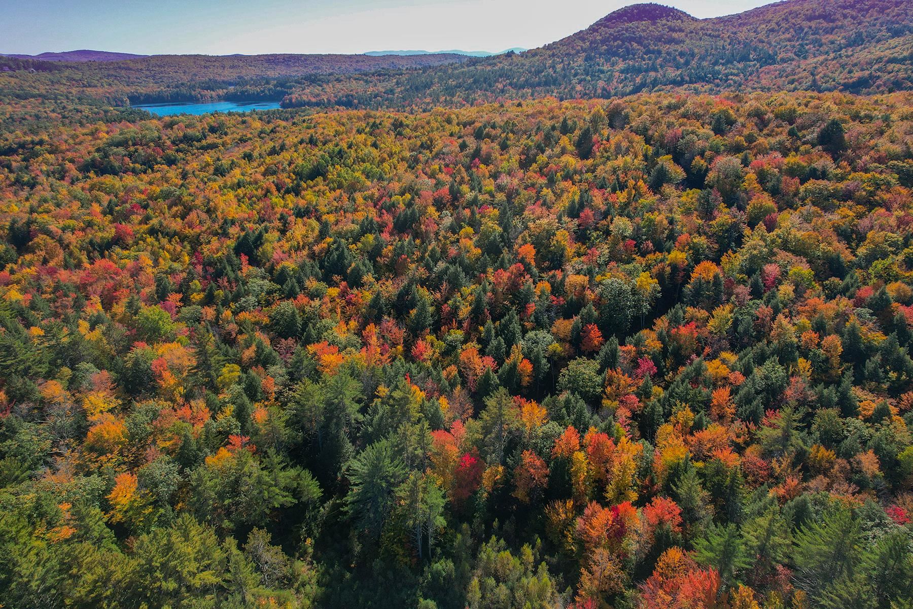 160 Valley Road Ossipee, NH 03814 - Photo 3 of 10