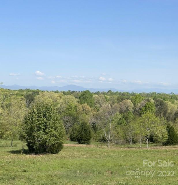 0 Clarkson Lane, Unit 4 Tryon, NC 28782 - Photo 2 of 9 Gallery Image 2