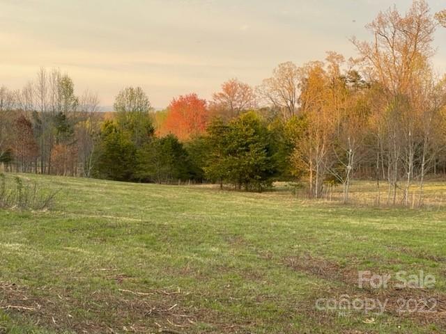 0 Clarkson Lane, Unit 4 Tryon, NC 28782 - Photo 5 of 9 Gallery Image 5