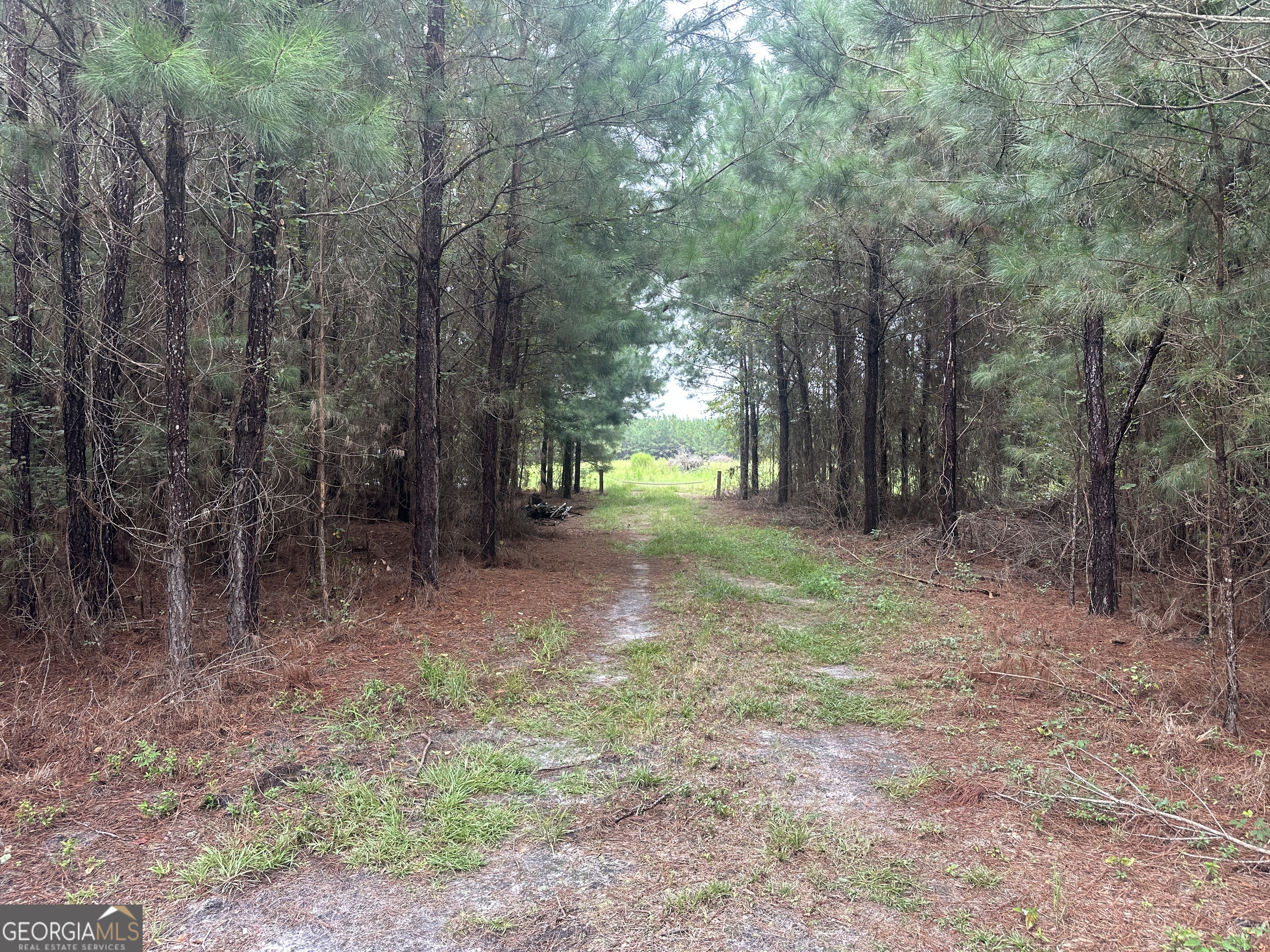 3302 Highway 67 Pembroke, GA 31321 - Photo 19 of 20