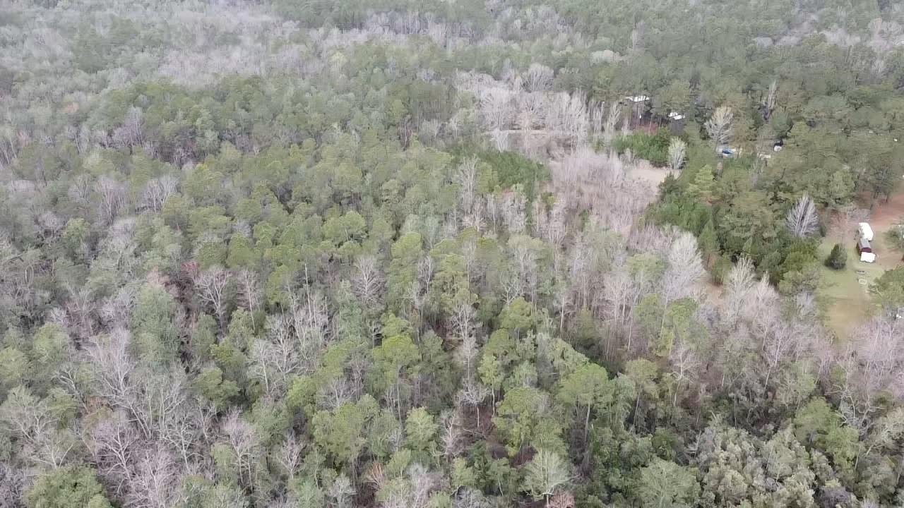 Scottish Lane Bay Minette, AL 36507 - Photo 16 of 25