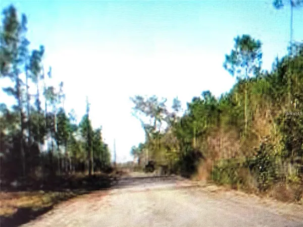 a view of a yard with trees