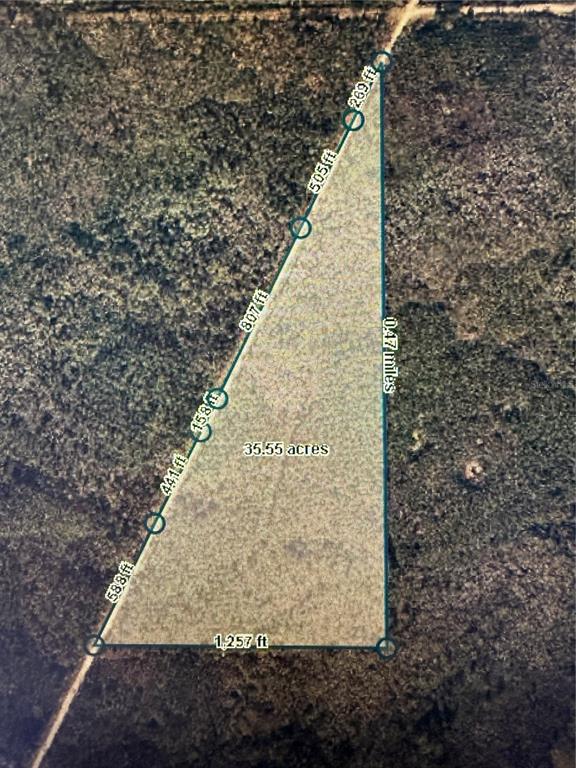 35 Madison Main Line Perry, FL 32347 - Photo 3 of 5 a view of a yard