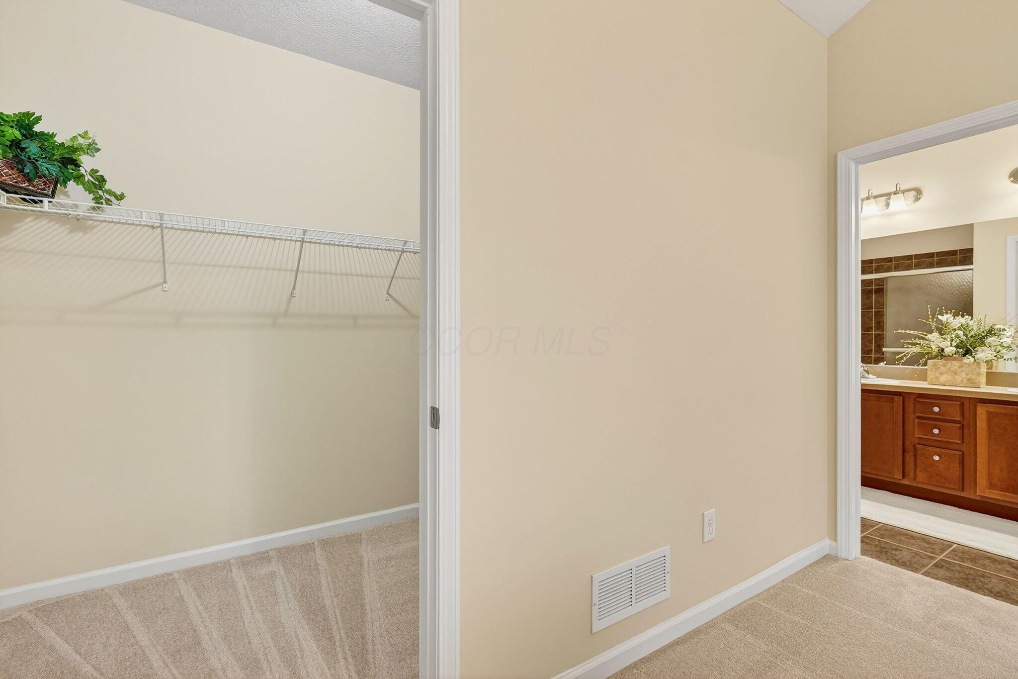 6931 Rothwell Street New Albany, OH 43054 - Photo 32 of 58 Primary walk in closet