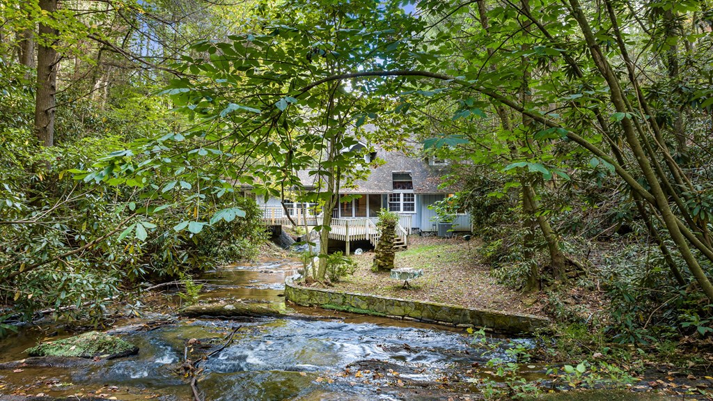220 Old Ml Trace Blue Ridge, GA 30513 - Photo 54 of 78 Gallery Image 54