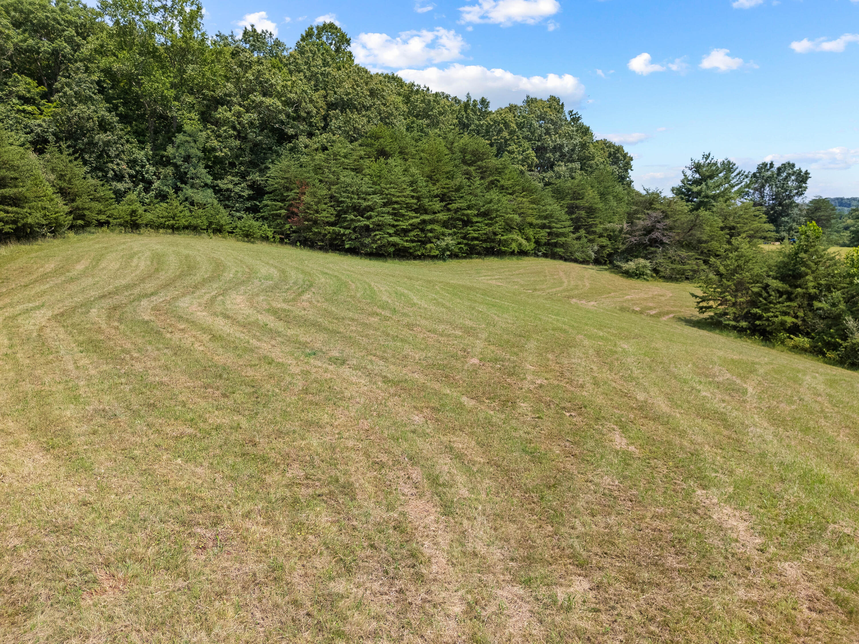 0 Canning Factory Road Southwest Floyd, VA 24091 - Photo 19 of 49 a view of a yard with a tree