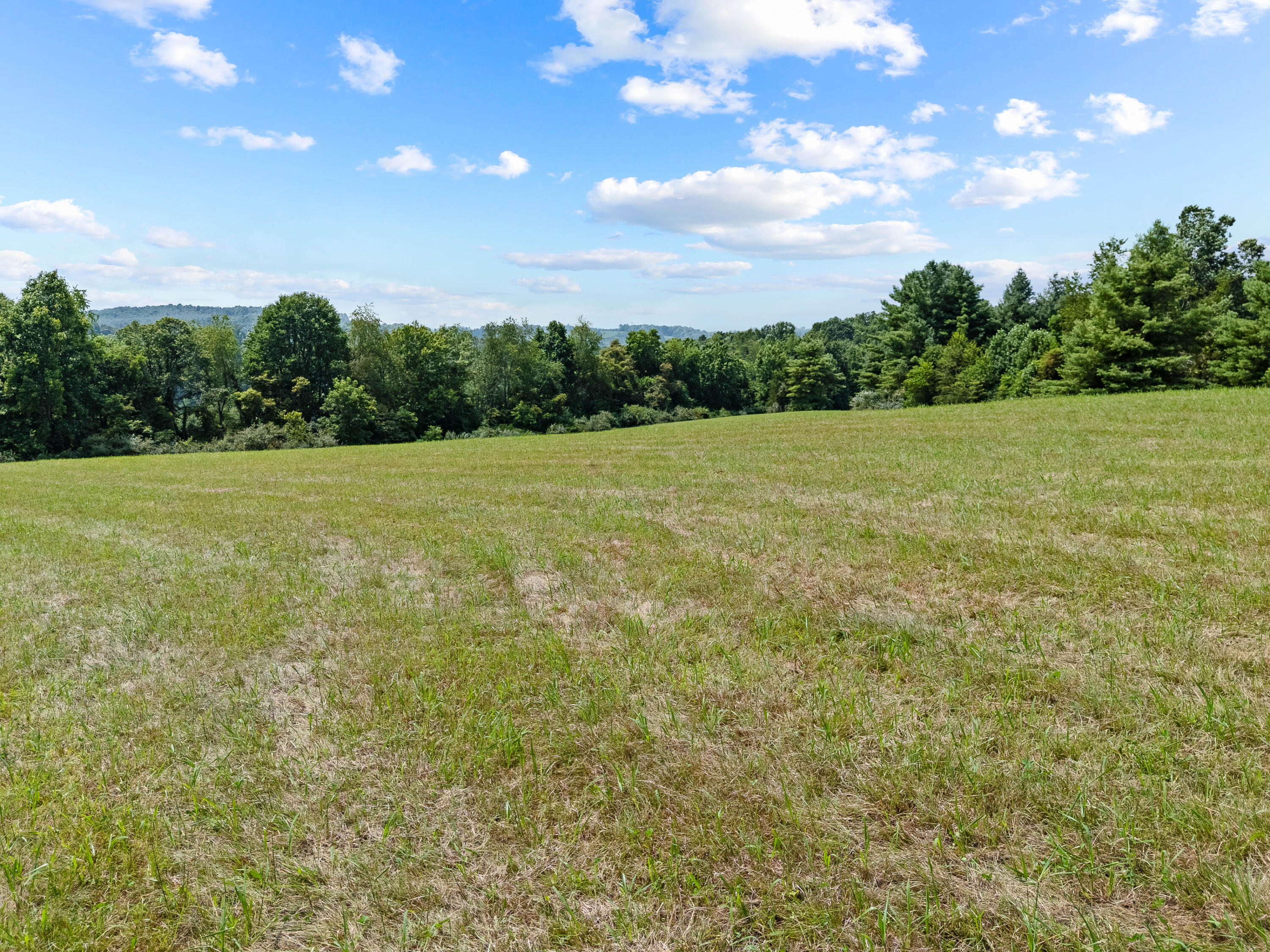 0 Canning Factory Road Southwest Floyd, VA 24091 - Photo 23 of 49 a view of outdoor space and yard