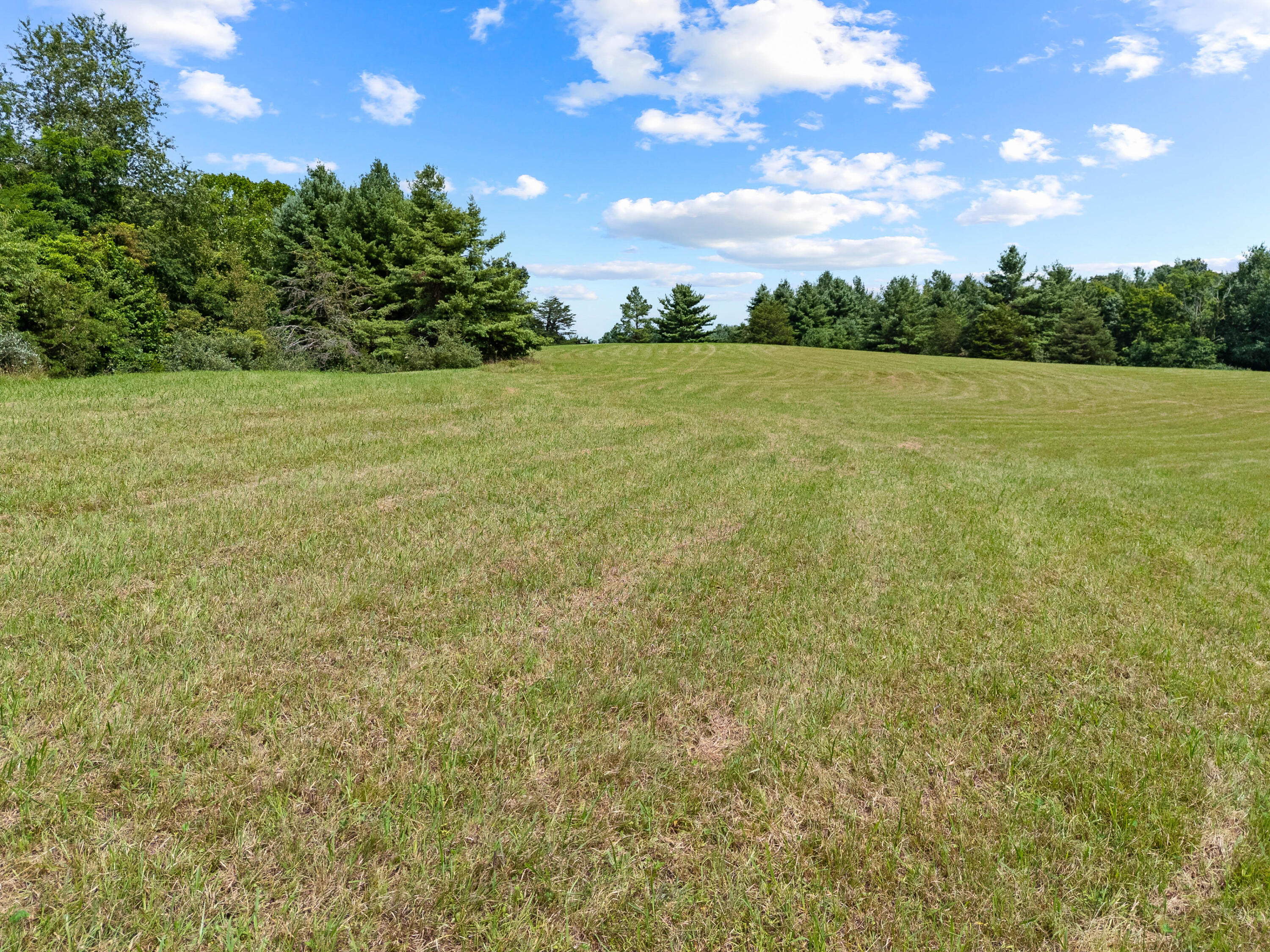 0 Canning Factory Road Southwest Floyd, VA 24091 - Photo 24 of 49 a view of a field with an trees in the background