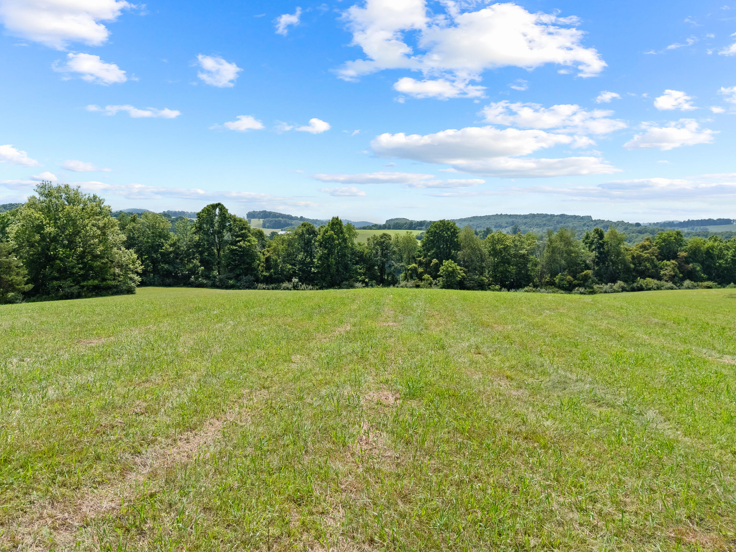 0 Canning Factory Road Southwest Floyd, VA 24091 - Photo 25 of 49 a view of a garden from a yard