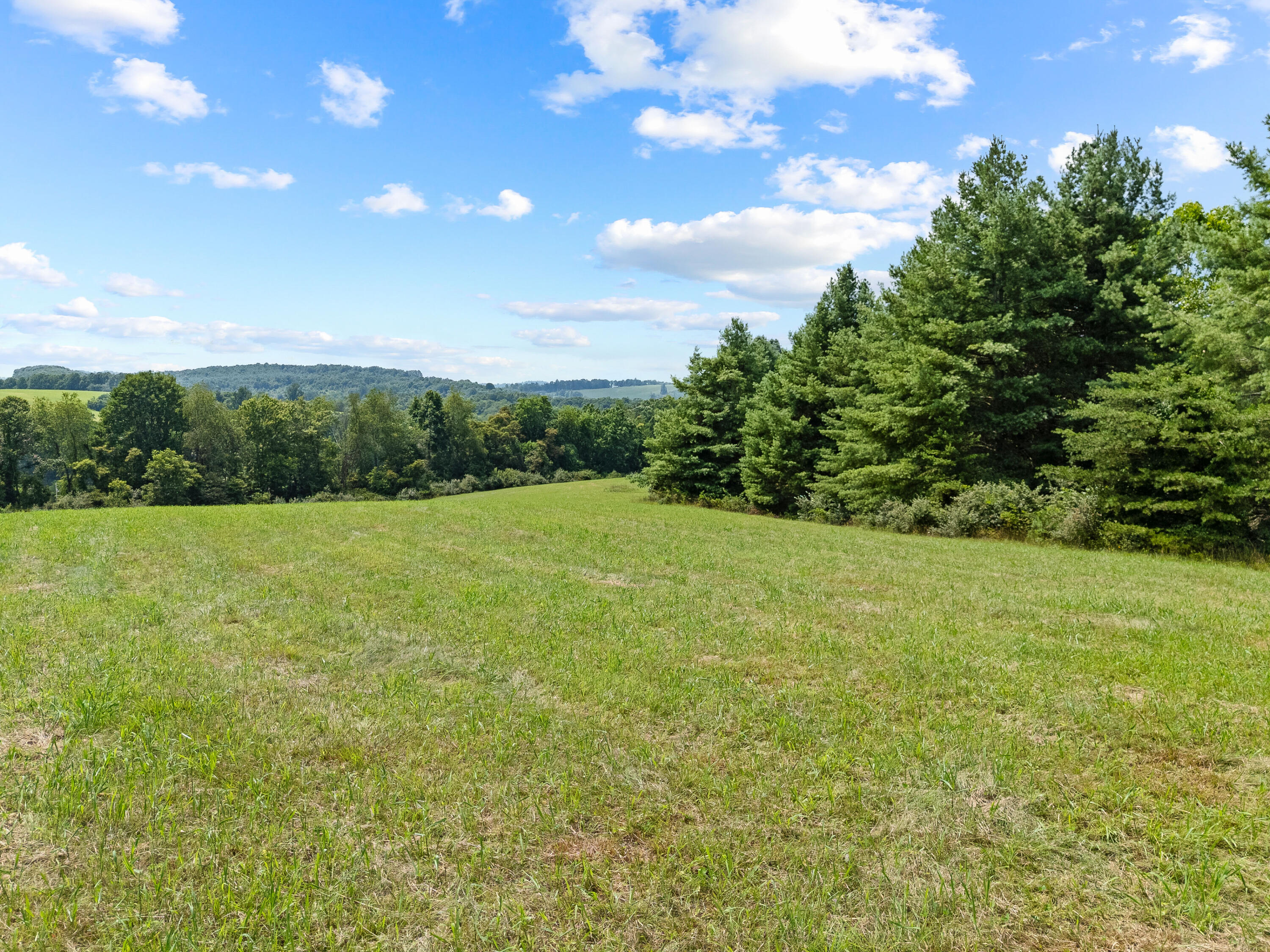 0 Canning Factory Road Southwest Floyd, VA 24091 - Photo 26 of 49 a view of a field with an trees in the background