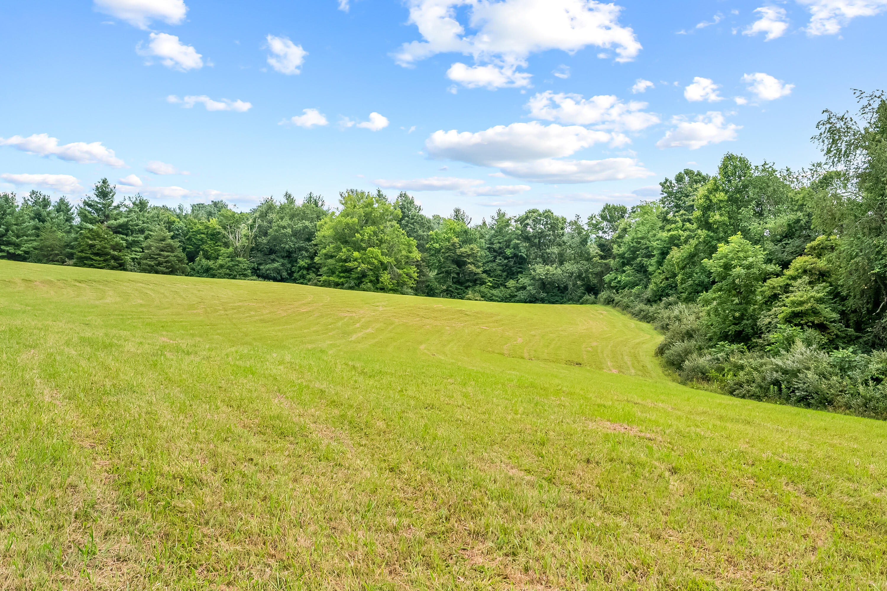 0 Canning Factory Road Southwest Floyd, VA 24091 - Photo 36 of 49 a view of yard with swimming pool and green space