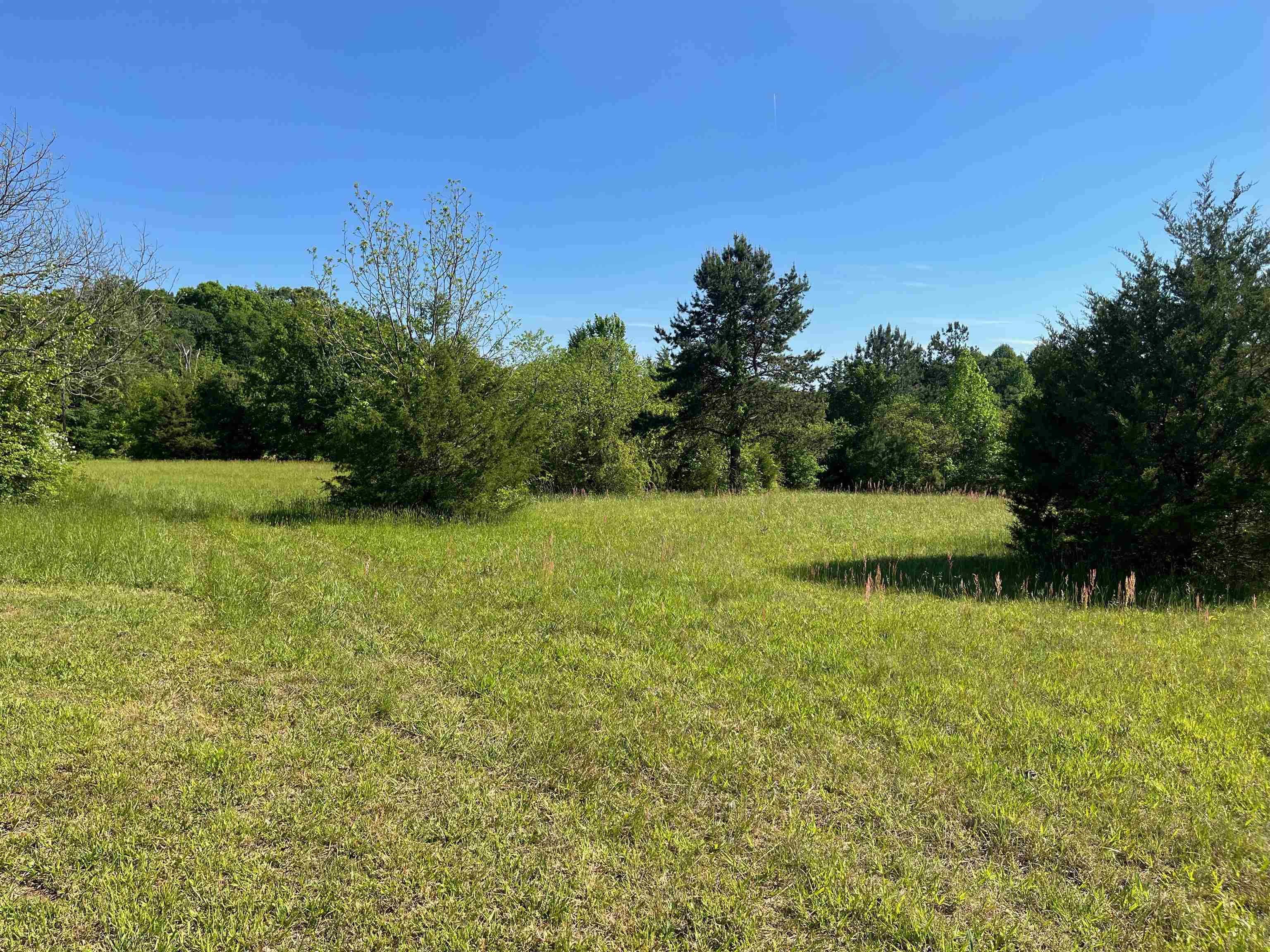 325 Waddell Road Woodruff, SC 29388 - Photo 11 of 36 Gallery Image 11