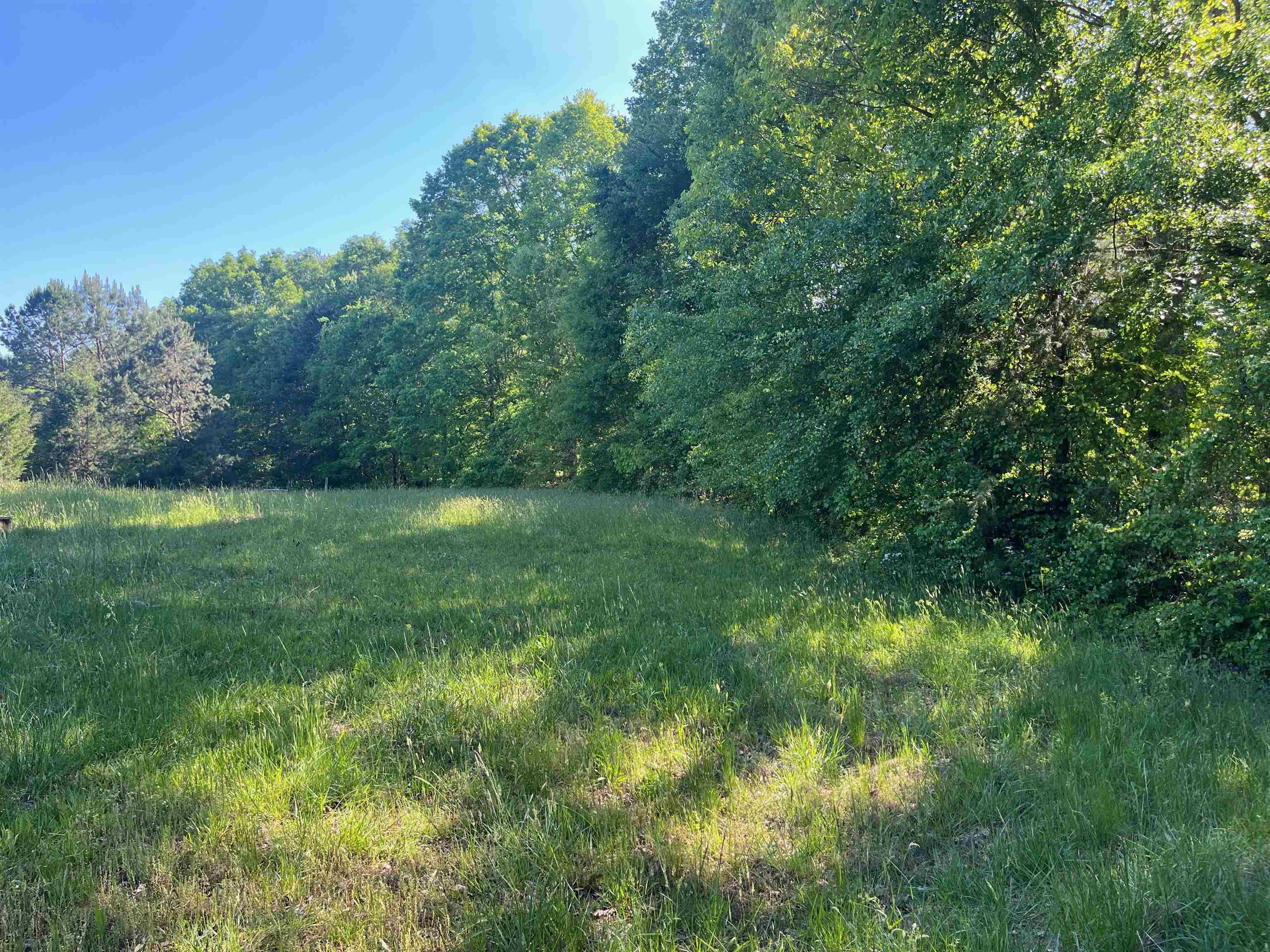 325 Waddell Road Woodruff, SC 29388 - Photo 12 of 36 Gallery Image 12