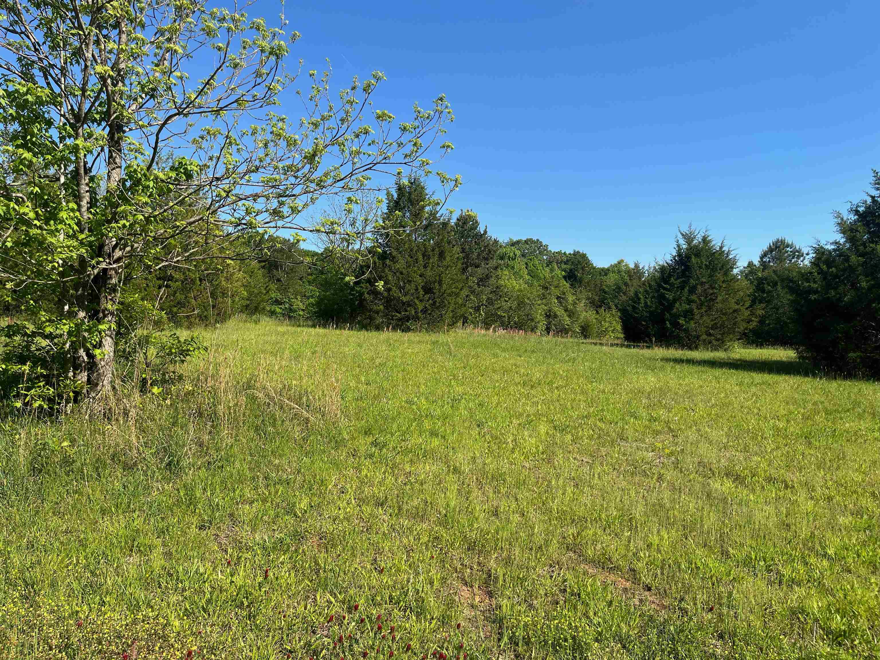 325 Waddell Road Woodruff, SC 29388 - Photo 13 of 36 Gallery Image 13