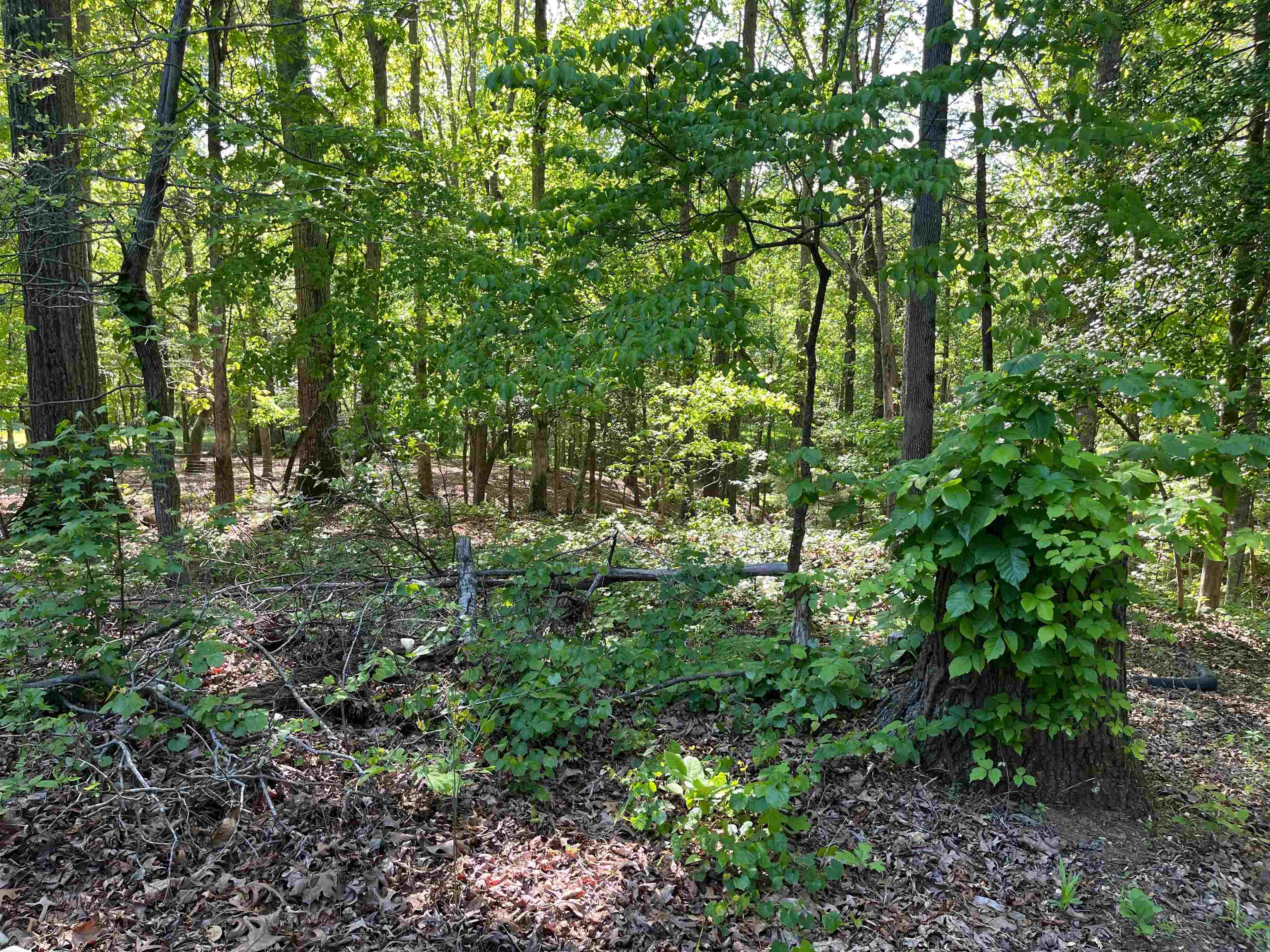 325 Waddell Road Woodruff, SC 29388 - Photo 31 of 36 Gallery Image 31