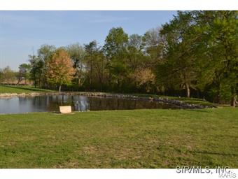 13235 Beckemeyer Road Carlyle, IL 62231 - Photo 11 of 15
