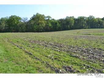 13235 Beckemeyer Road Carlyle, IL 62231 - Photo 9 of 15