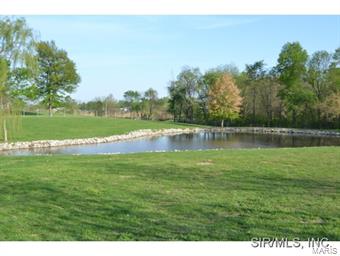 13235 Beckemeyer Road Carlyle, IL 62231 - Photo 10 of 15