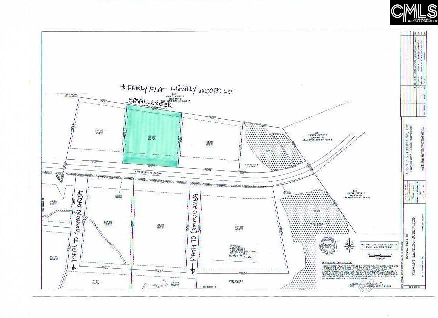 Lot 229 Granny Hill Road Prosperity, SC 29127 - Photo 4 of 61