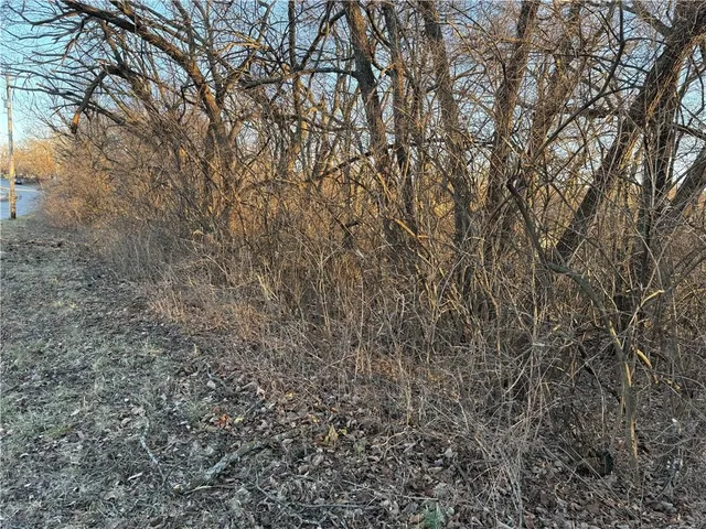 $23,500 | 12298 Dr Greaves Road, Grandview, MO 64030