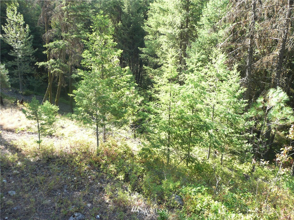 28 Old Blacks Beach Road Republic, WA 99166 - Photo 11 of 13