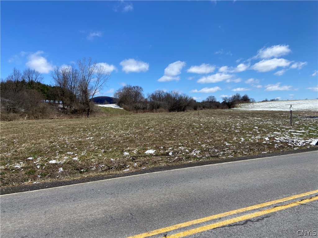 0 Southworth Road Dryden, NY 13053 - Photo 1 of 1 Gallery Image 1