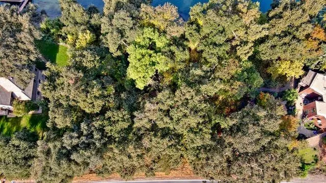 a view of a window and a tree