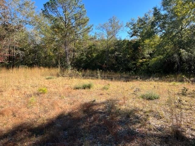 0 Unnamed Road Florala, AL 36442 - Photo 13 of 39 Gallery Image 13